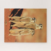 Puzzle Animaux de bébés cutest | 3 Meerkats (Horizontal)