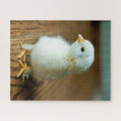 Puzzle Animaux de bébés cutest | Baby Chick (Horizontal)