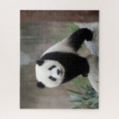 Puzzle Animaux de bébés cutest | Baby Panda géant (Vertical)
