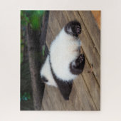 Puzzle Animaux de bébés cutest | Bébé Géant Panda Dormir (Vertical)