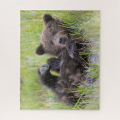 Puzzle Animaux de bébés cutest | Bébé Ours Brown (Vertical)