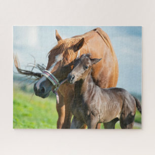Puzzle Animaux de bébés cutest Black Foy avec maman