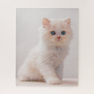 Puzzle Animaux de bébés cutest   Blue Eye Kitten