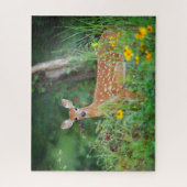 Puzzle Animaux de bébés cutest | Cerf à queue blanche dan (Vertical)