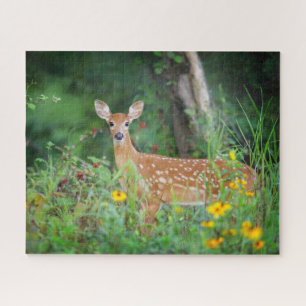Puzzle Animaux de bébés cutest   Cerf à queue blanche dan