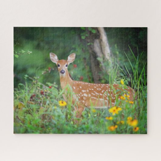 Puzzle Animaux de bébés cutest | Cerf à queue blanche dan (Horizontal)