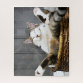 Puzzle Animaux de bébés cutest | Chat dans le lit (Vertical)