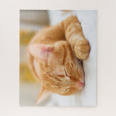 Puzzle Animaux de bébés cutest | Chat de gingembre dorman (Vertical)