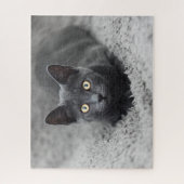 Puzzle Animaux de bébés cutest | Chat gris (Vertical)