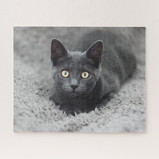 Puzzle Animaux de bébés cutest | Chat gris (Horizontal)
