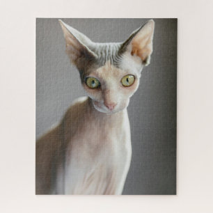 Puzzle Animaux de bébés cutest   Chat Sphinx