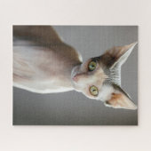 Puzzle Animaux de bébés cutest | Chat Sphinx (Horizontal)