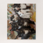 Puzzle Animaux de bébés cutest | Chatons noirs et blancs (Vertical)