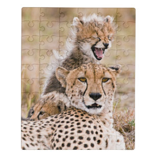 Puzzle Animaux de bébés cutest   Cheetah Cat & Cub