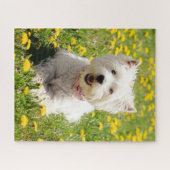 Puzzle Animaux de bébés cutest | Chien Westin en Dandelio (Horizontal)
