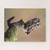 Puzzle Animaux de bébés cutest | Chouette blanche de la s (Horizontal)