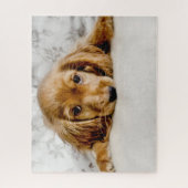 Puzzle Animaux de bébés cutest | Cocker Spaniel (Vertical)