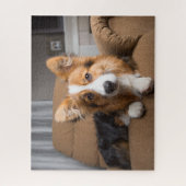 Puzzle Animaux de bébés cutest | Coiffeuse à cheveux long (Vertical)