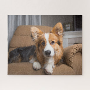 Puzzle Animaux de bébés cutest Coiffeuse à cheveux long