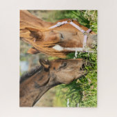 Puzzle Animaux de bébés cutest | Colt à cheval (Vertical)