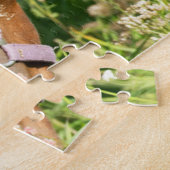 Puzzle Animaux de bébés cutest | Colt à cheval (Côté)