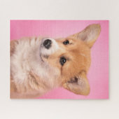 Puzzle Animaux de bébés cutest | Corgi Chiot rose (Horizontal)