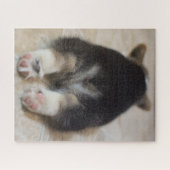 Puzzle Animaux de bébés cutest | Corgi Puppy Derrière (Horizontal)
