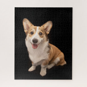 Puzzle Animaux de bébés cutest   Corgi Puppy Smile