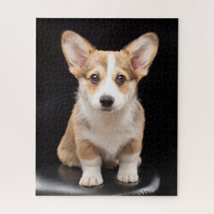 Puzzle Animaux de bébés cutest   Corgi Puppy Standing Hau