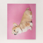 Puzzle Animaux de bébés cutest | Corgi rose Chiot (Vertical)
