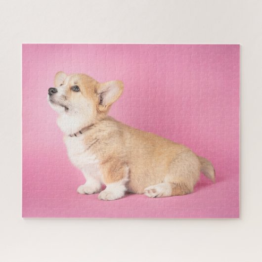 Puzzle Animaux de bébés cutest | Corgi rose Chiot (Horizontal)
