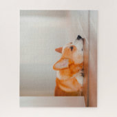 Puzzle Animaux de bébés cutest | Corgi Sleeping (Vertical)