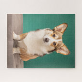 Puzzle Animaux de bébés cutest | Corgi sur Turquoise (Horizontal)