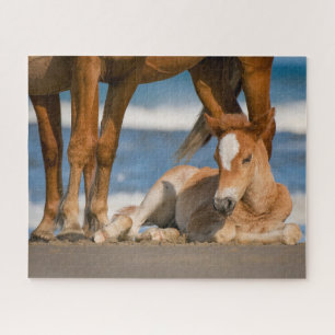 Puzzle Animaux de bébés cutest   Corolla nouvellement née