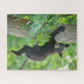 Puzzle Animaux de bébés cutest | Cube d'ours noir (Horizontal)