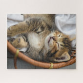Puzzle Animaux de bébés cutest | Cute Tabby Chat Dormir (Horizontal)