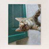 Puzzle Animaux de bébés cutest | Cute Tabby Kitten (Vertical)