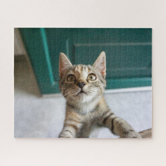 Puzzle Animaux de bébés cutest | Cute Tabby Kitten (Horizontal)
