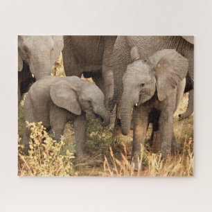 Puzzle Animaux de bébés cutest Deux jeunes éléphants