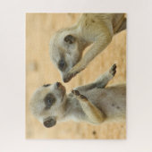 Puzzle Animaux de bébés cutest | Deux jeunes Meerkats (Vertical)