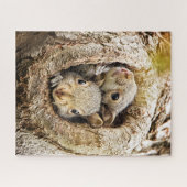 Puzzle Animaux de bébés cutest | Écureuils curieux (Horizontal)
