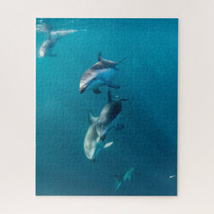 Puzzle Animaux de bébés cutest Famille de dauphins