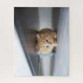 Puzzle Animaux de bébés cutest | Fluffy Orange Kitten (Vertical)