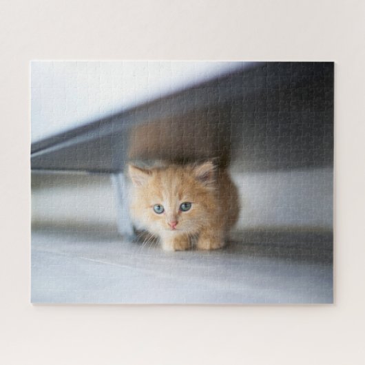 Puzzle Animaux de bébés cutest | Fluffy Orange Kitten (Horizontal)