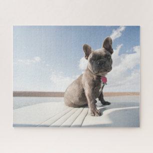 Puzzle Animaux de bébés cutest French Bulldog Booking