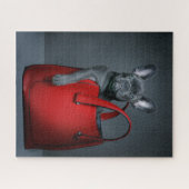 Puzzle Animaux de bébés cutest | French Bulldog dans le s (Horizontal)