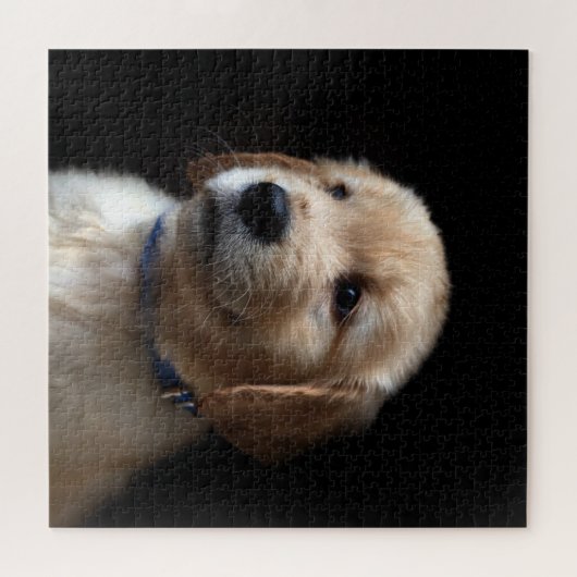Puzzle Animaux de bébés cutest | Golden Retriever Puppy (Horizontal)
