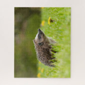 Puzzle Animaux de bébés cutest | Hérisson européen (Vertical)