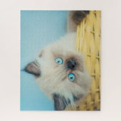 Puzzle Animaux de bébés cutest | Himalaya Seal Point Cat (Vertical)