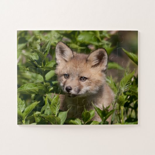 Puzzle Animaux de bébés cutest | Kit Fox (Horizontal)